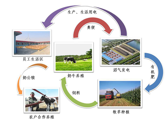 牧場生態(tài)流程圖.jpg